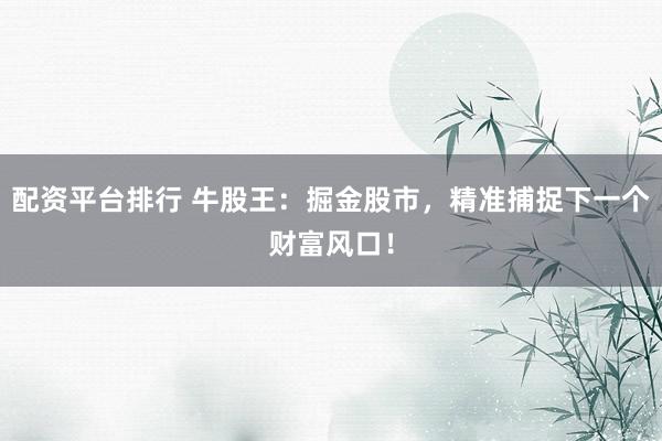 配资平台排行 牛股王：掘金股市，精准捕捉下一个财富风口！