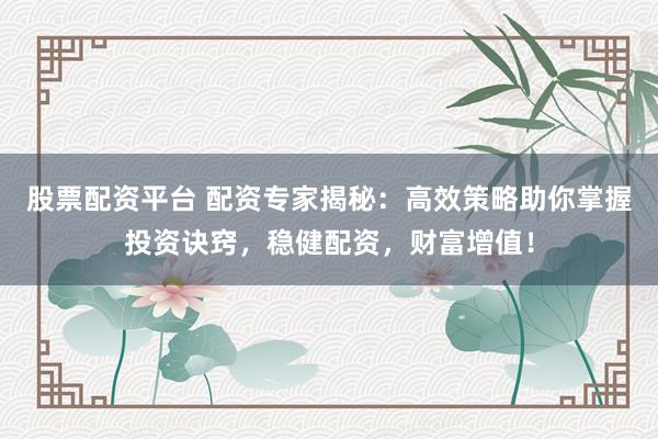 股票配资平台 配资专家揭秘：高效策略助你掌握投资诀窍，稳健配资，财富增值！