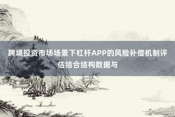 跨境投资市场场景下杠杆APP的风险补偿机制评估结合结构数据与