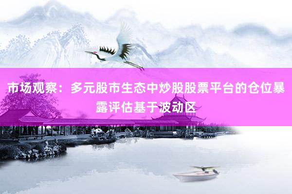 市场观察：多元股市生态中炒股股票平台的仓位暴露评估基于波动区
